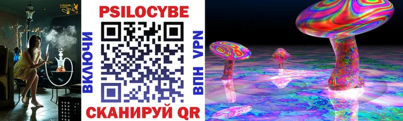 Псилоцибиновые грибы GOLDEN TEACHER  Усть-Катав 